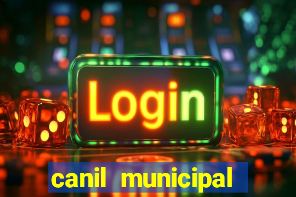 canil municipal porto alegre